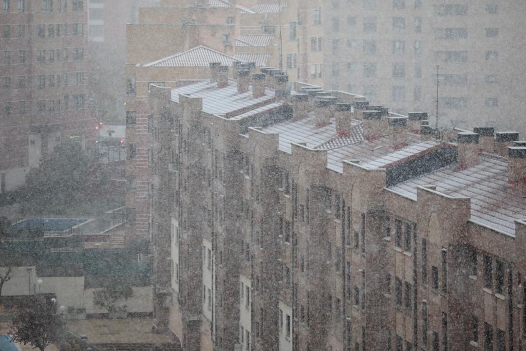 Fotos: Llega a Valladolid la primera nevada desde &#039;Filomena&#039;