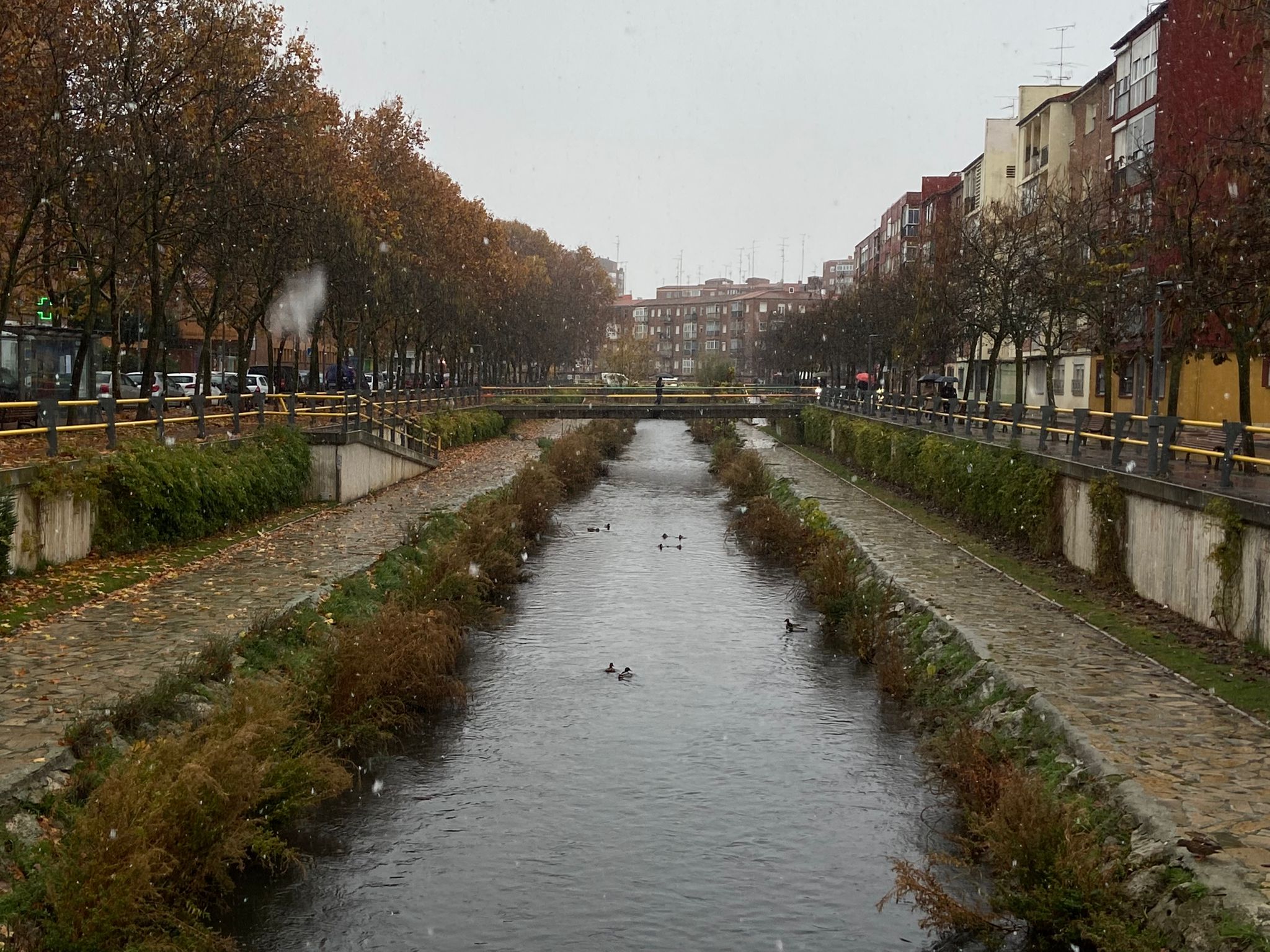 Fotos: Llega a Valladolid la primera nevada desde &#039;Filomena&#039;