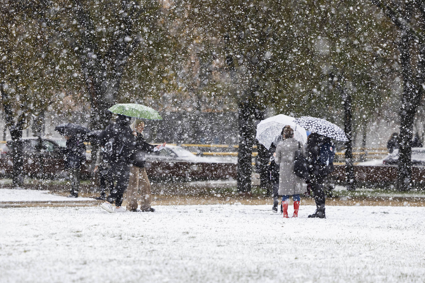 Fotos: Llega a Valladolid la primera nevada desde &#039;Filomena&#039; (2/2)