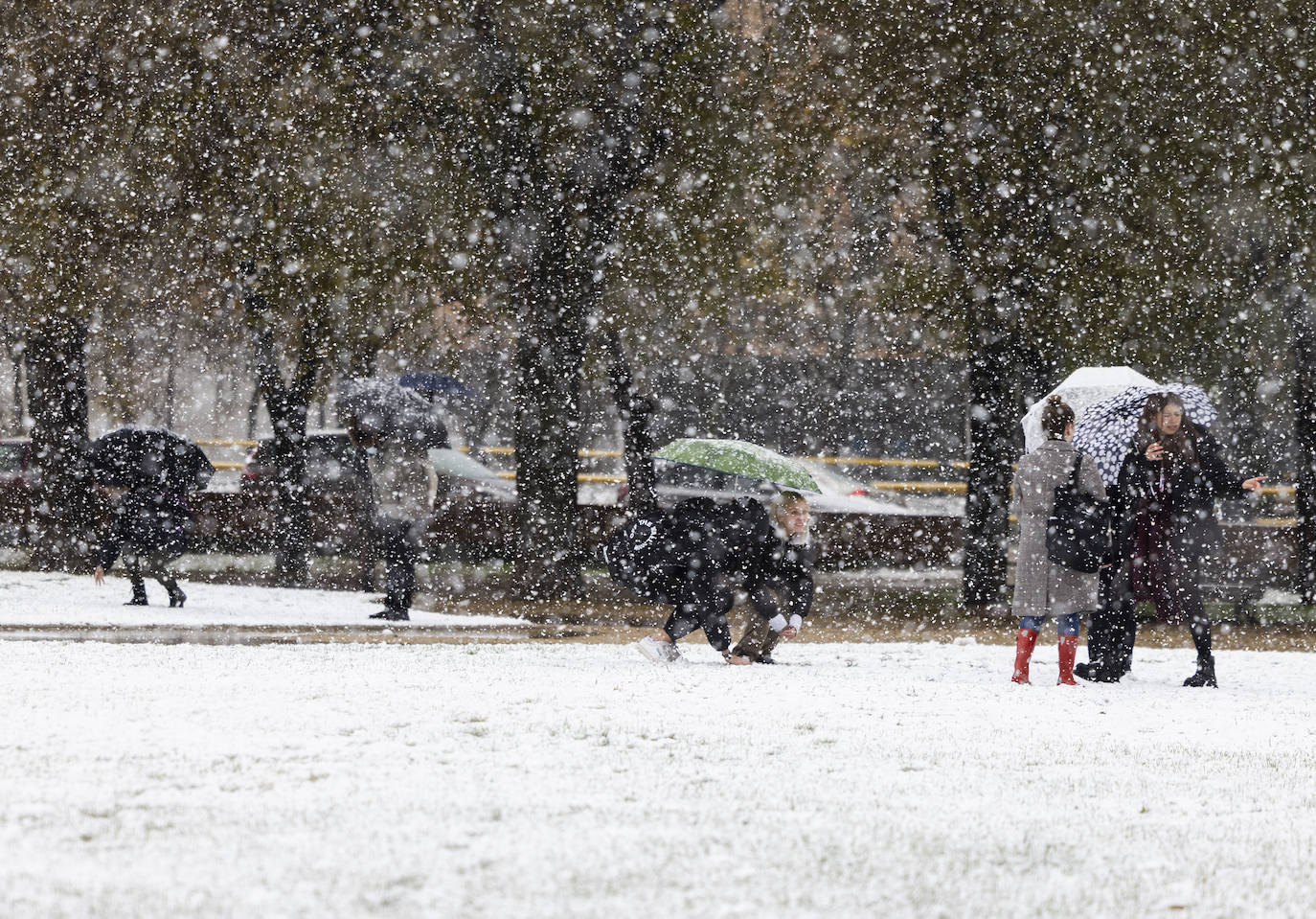 Fotos: Llega a Valladolid la primera nevada desde &#039;Filomena&#039; (2/2)