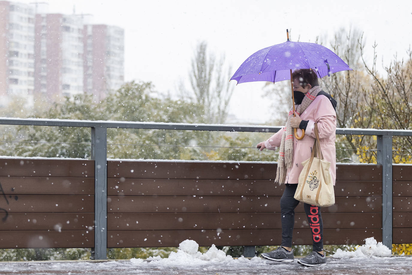 Fotos: Llega a Valladolid la primera nevada desde &#039;Filomena&#039; (2/2)