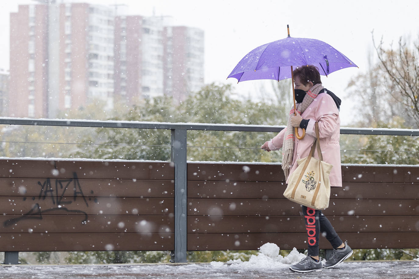 Fotos: Llega a Valladolid la primera nevada desde &#039;Filomena&#039; (2/2)