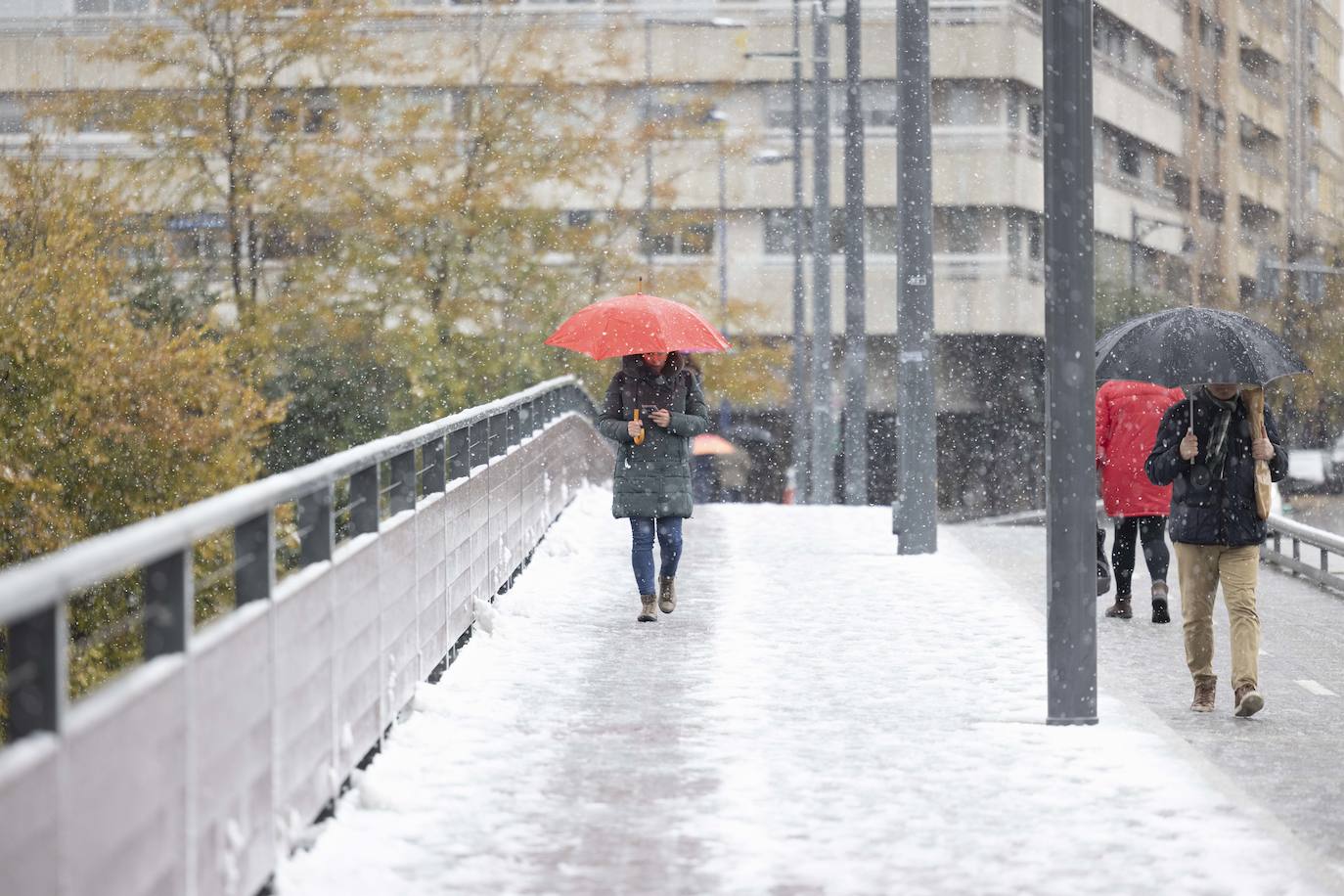 Fotos: Llega a Valladolid la primera nevada desde &#039;Filomena&#039; (2/2)