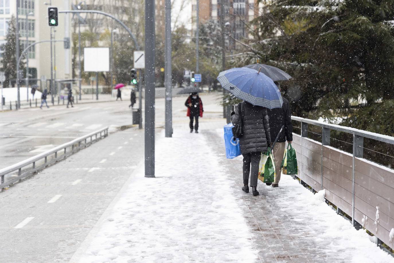 Fotos: Llega a Valladolid la primera nevada desde &#039;Filomena&#039; (2/2)