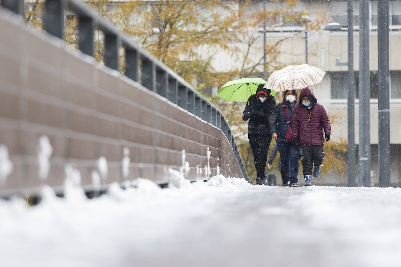 Fotos: Llega a Valladolid la primera nevada desde &#039;Filomena&#039; (2/2)