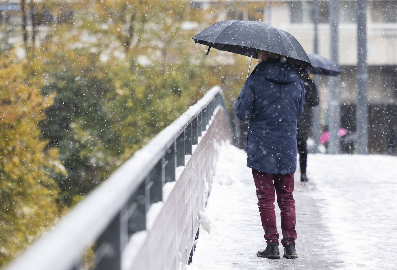 Fotos: Llega a Valladolid la primera nevada desde &#039;Filomena&#039; (2/2)