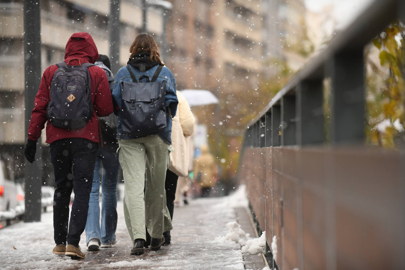 Fotos: Llega a Valladolid la primera nevada desde &#039;Filomena&#039; (2/2)