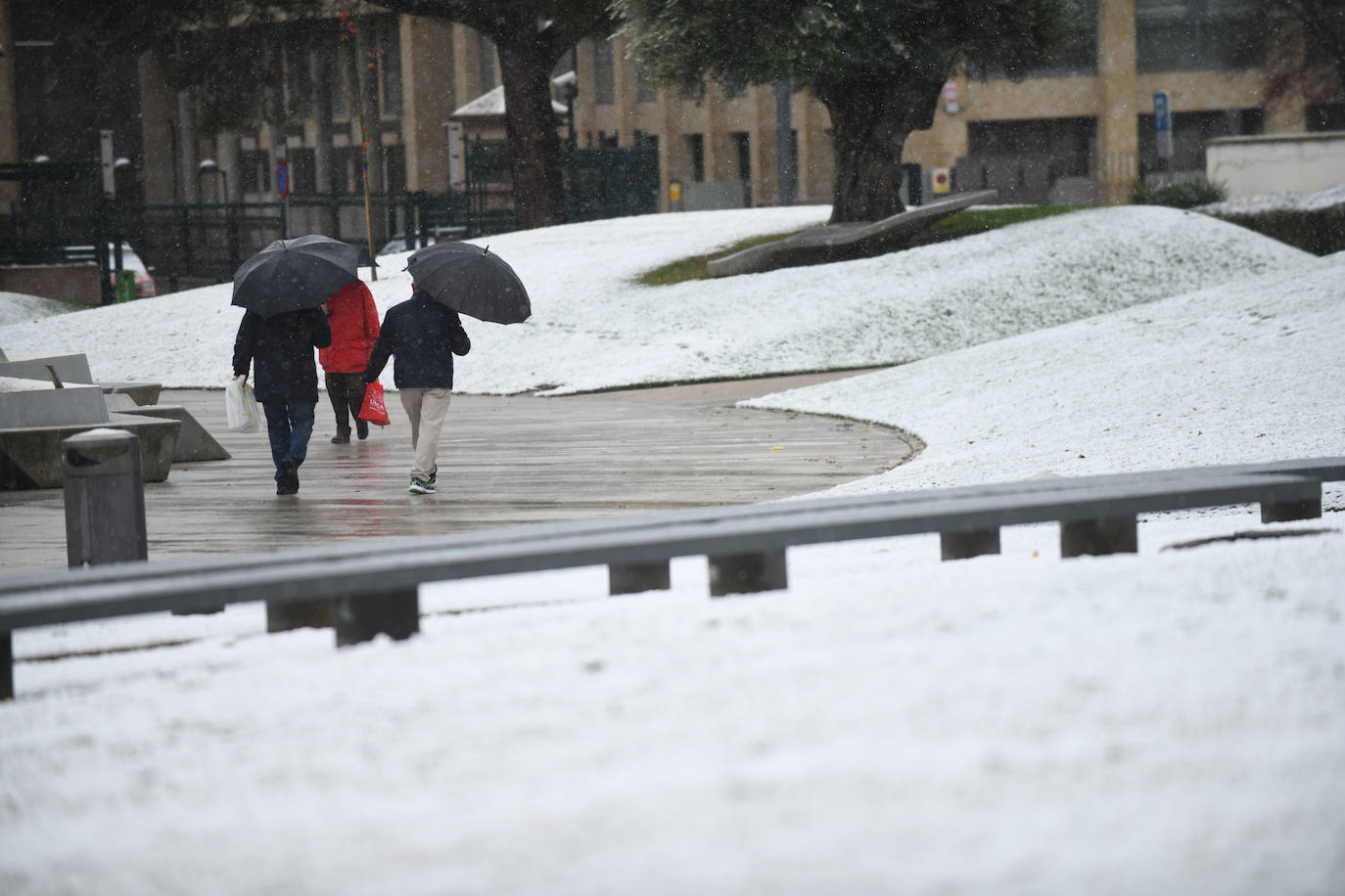 Fotos: Llega a Valladolid la primera nevada desde &#039;Filomena&#039; (2/2)