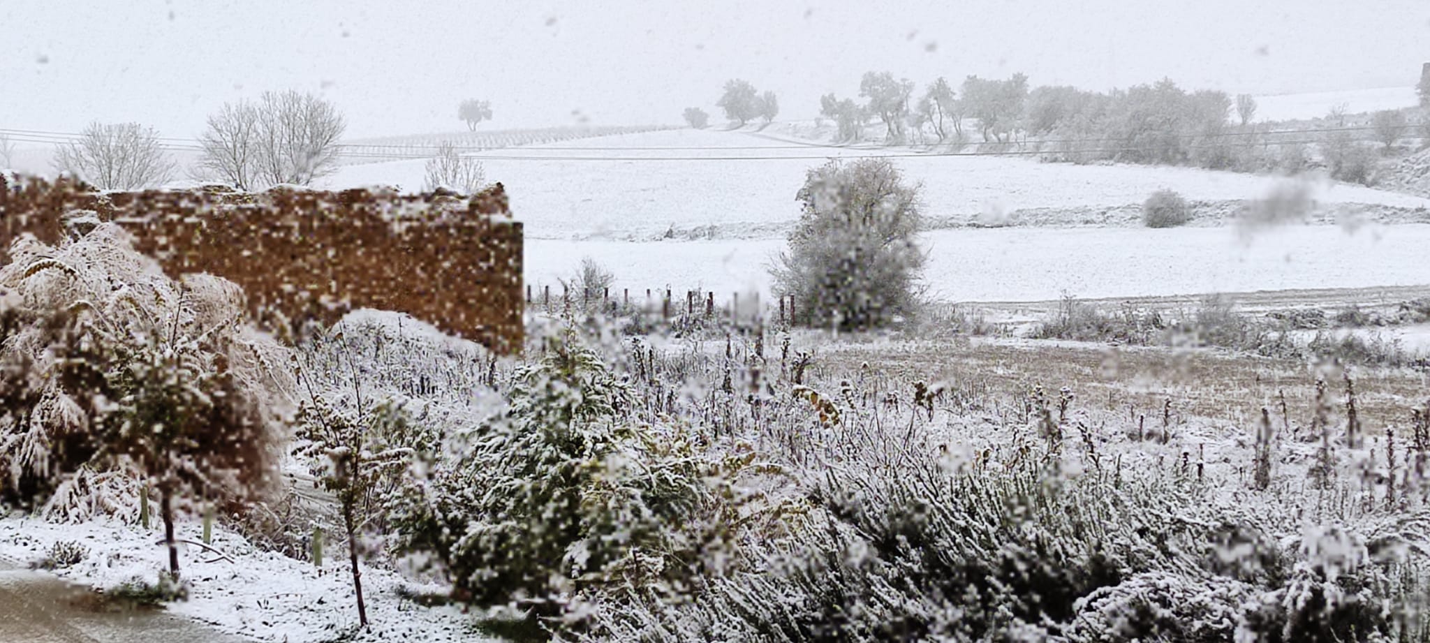 Nieve en Mucientes. 