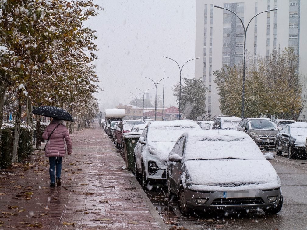 Nieve en Laguna de Duero. 