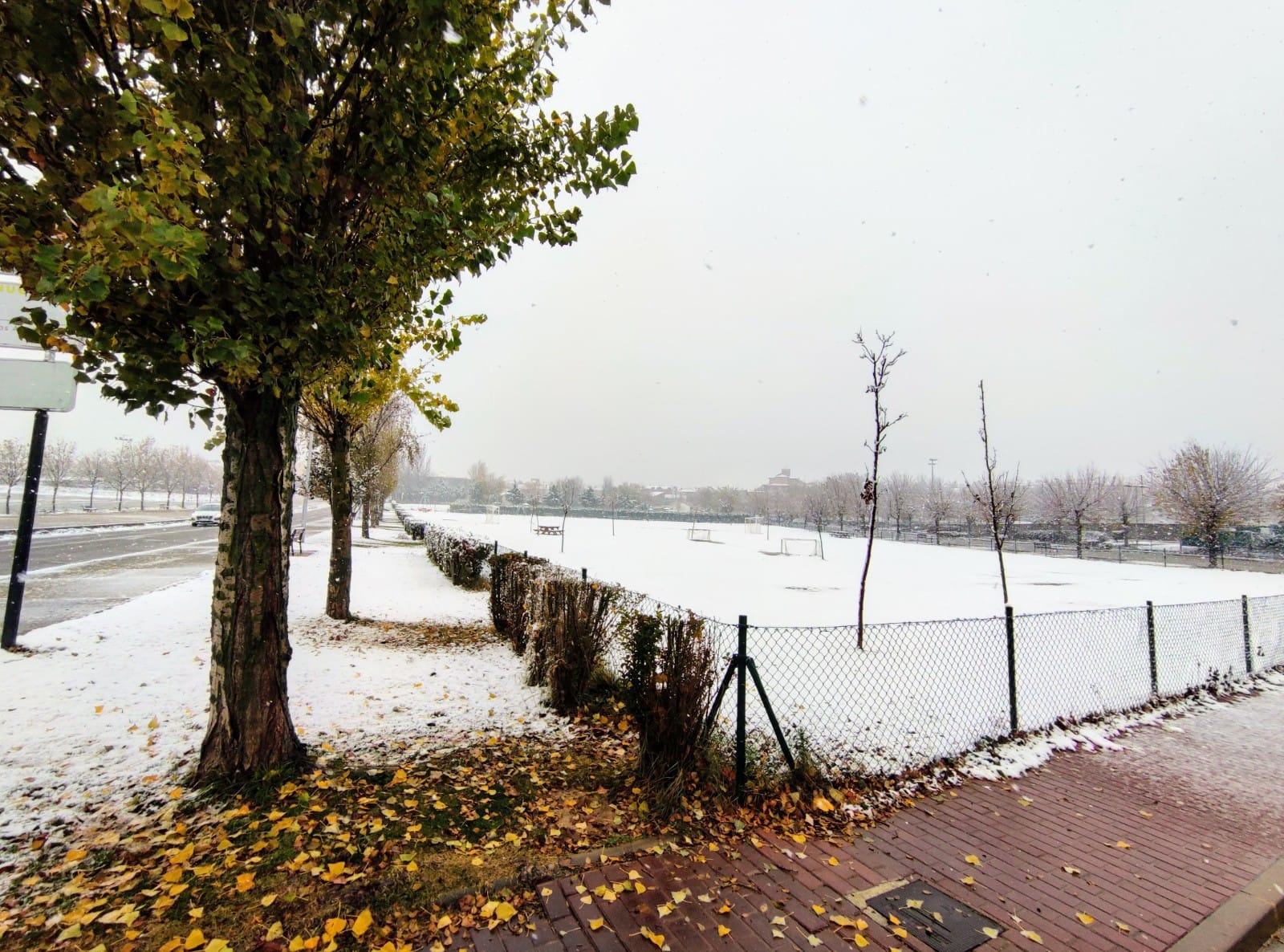 Nieve en Zaratán. 