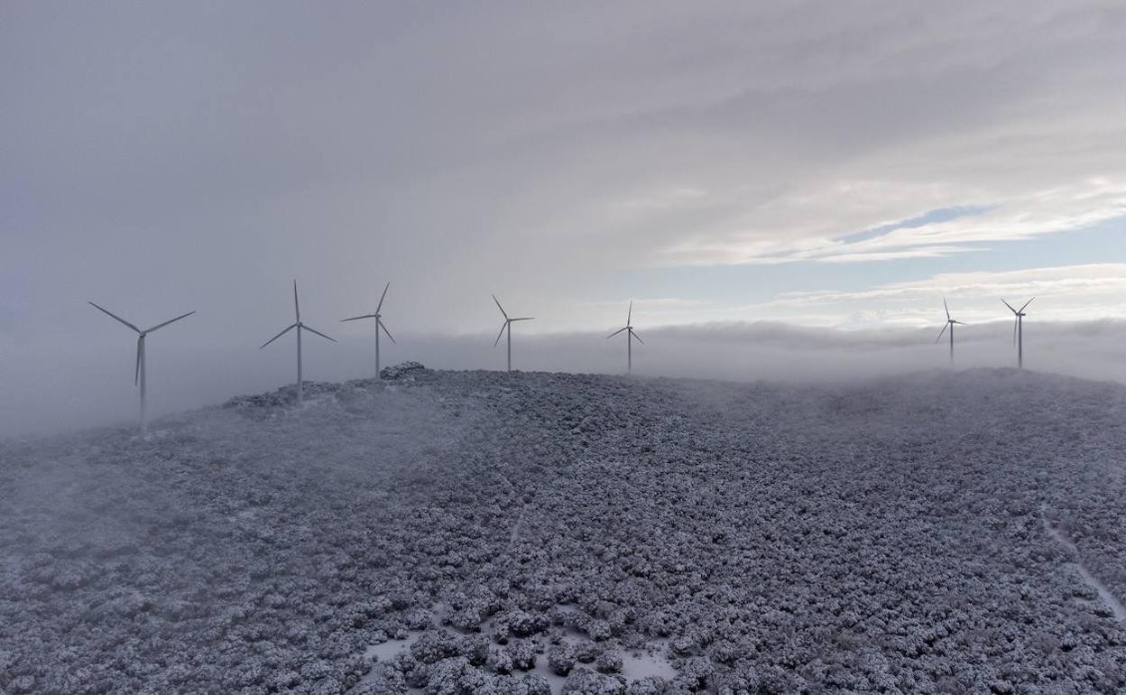 El parque eólico Sierra de Dueña queda cubierto bajo un manto de nieve. 