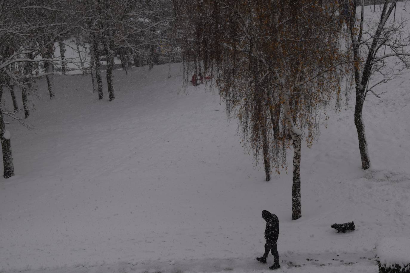 Fotos: Nevada en Guardo