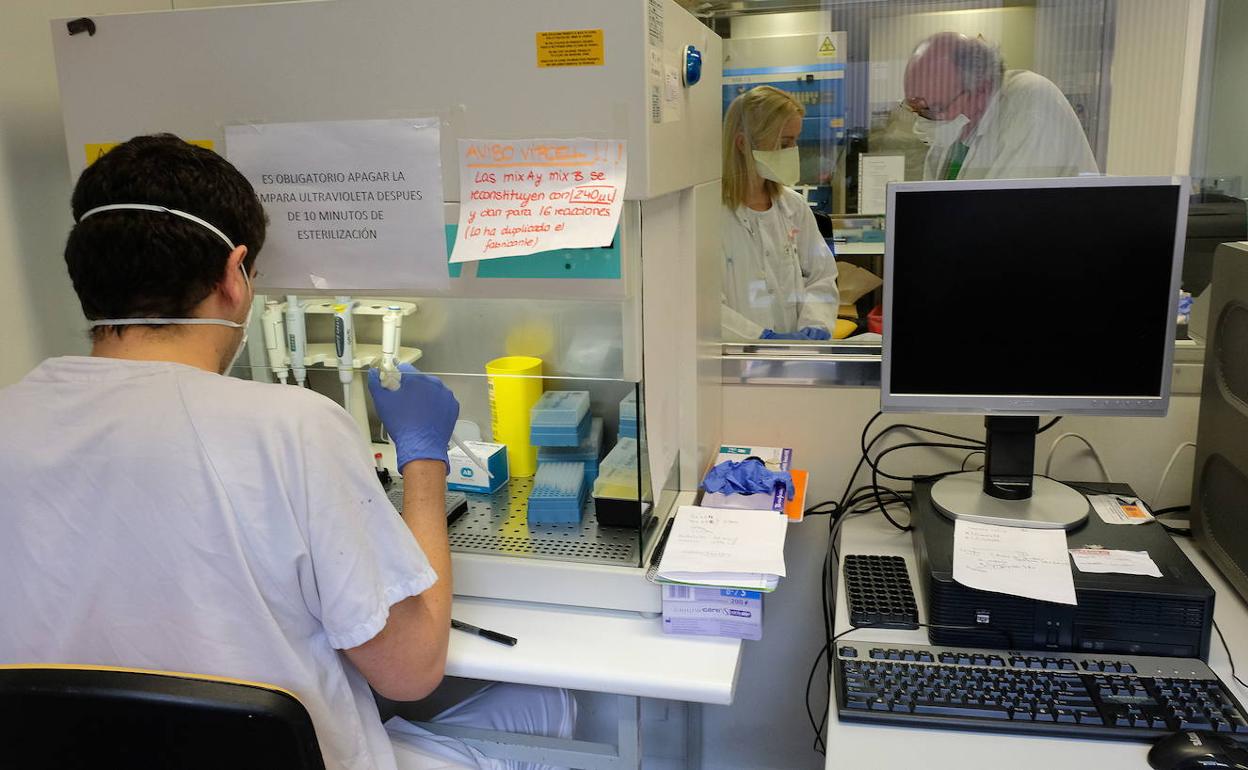 Laboratorio de Microbiología del Clínico de Valladolid. 