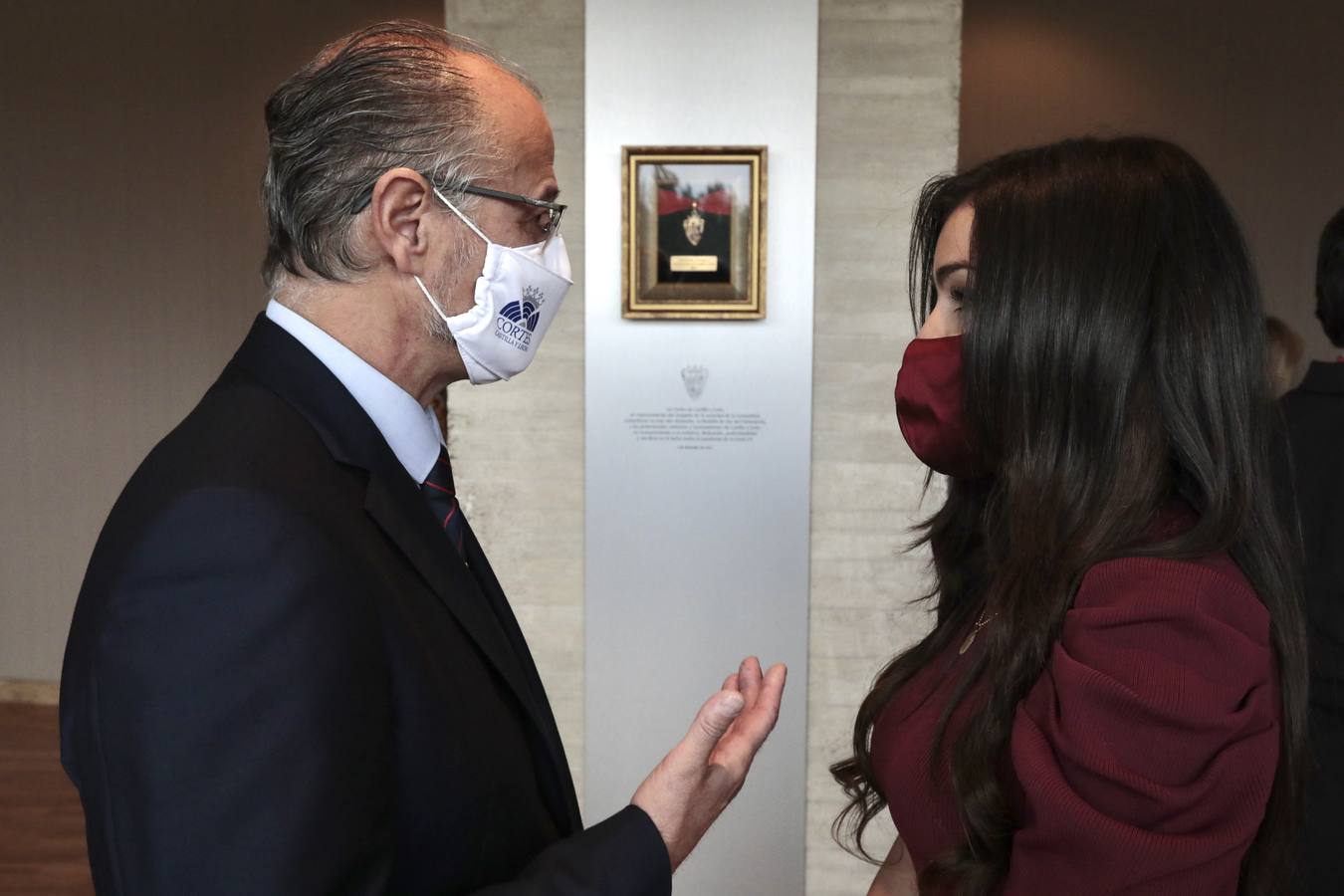 Fotos: Entrega de la Medalla de Oro de las Cortes a los sanitarios y sociosanitarios por su labor durante la pandemia