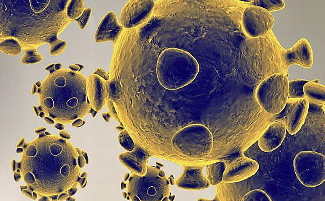 Imagen del virus coronavirus covid-19 a través de microscopio electrónico.