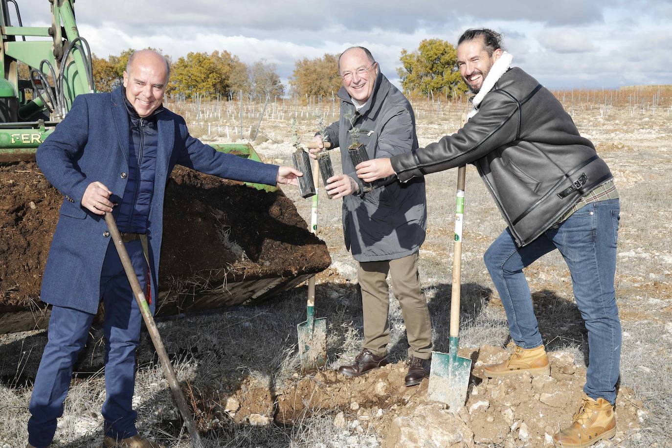 Jaime de Jaraiz, Carlos Moro y Javier Peña con tres plantones de encina. 