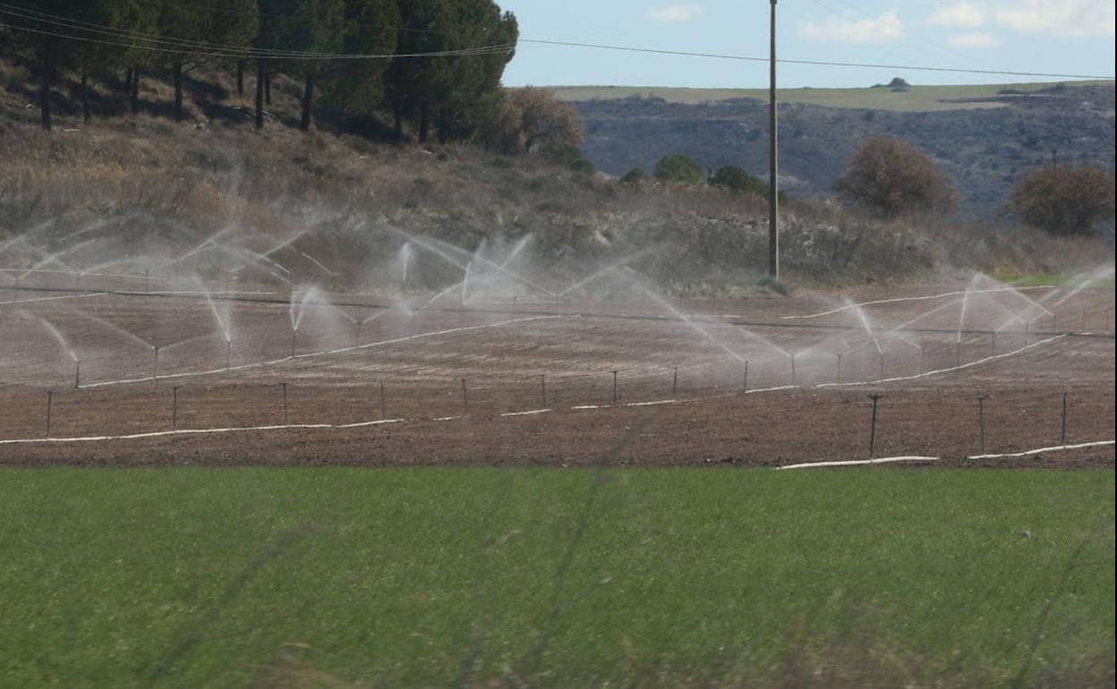 En poca agua poco se navega