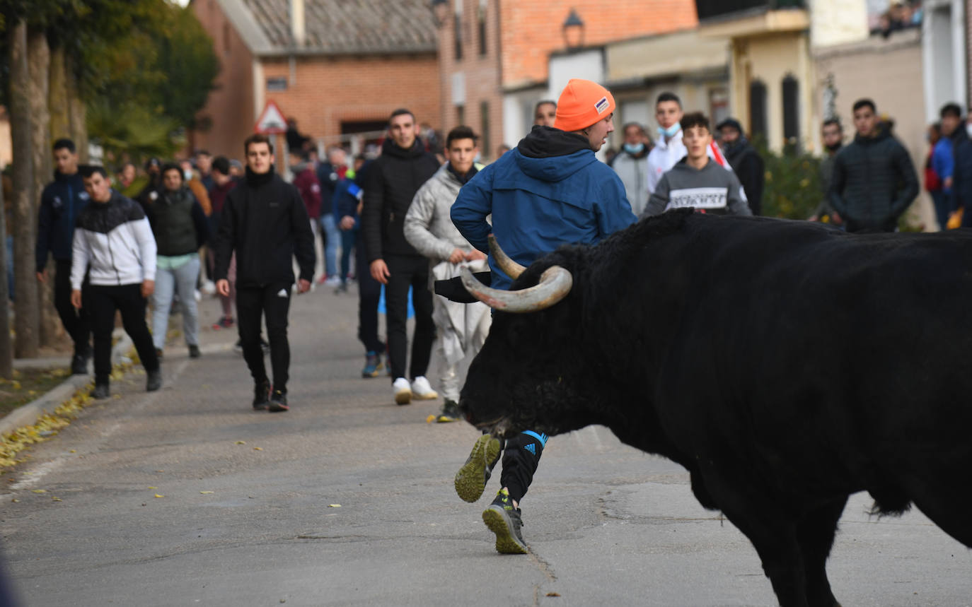 Fotos: Un toro causa el pánico en el encierro en Pollos