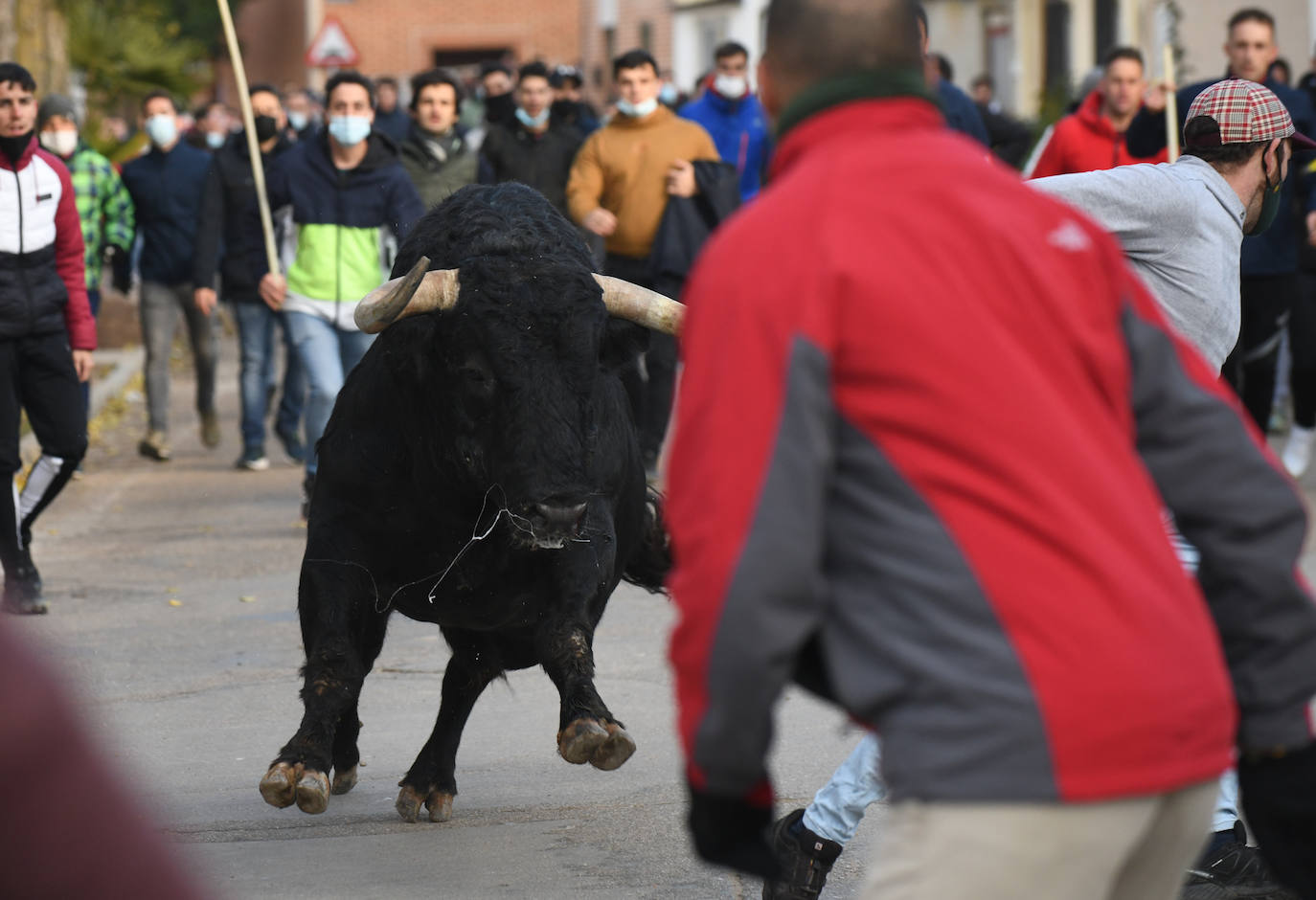 Fotos: Un toro causa el pánico en el encierro en Pollos