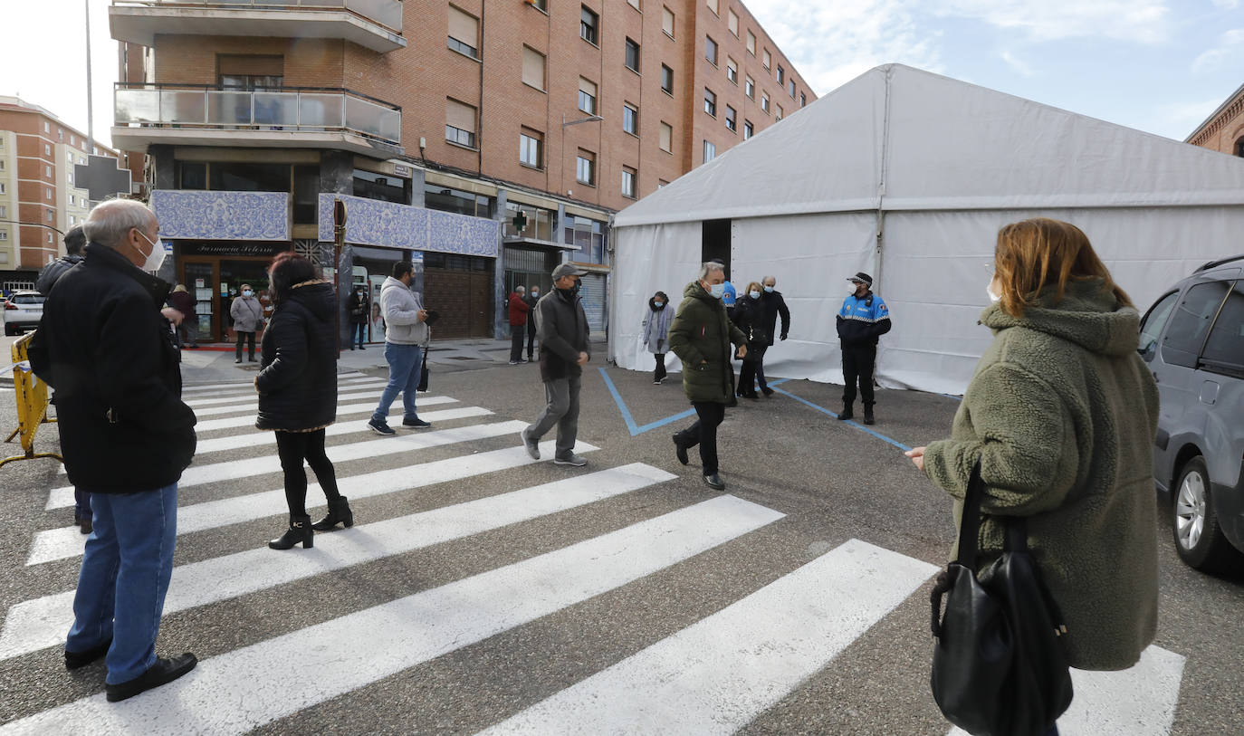 Fotos: La vacunación prosigue en Palencia en el Día de la Constitución