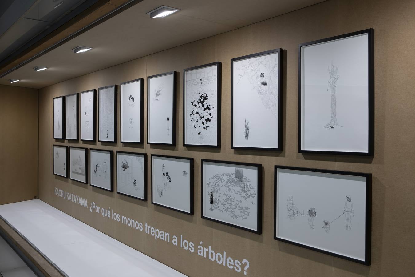 Fotos: Exposición &#039;¿Por qué los monos trepan a los árboles?&#039;, de Kaoru Katayama