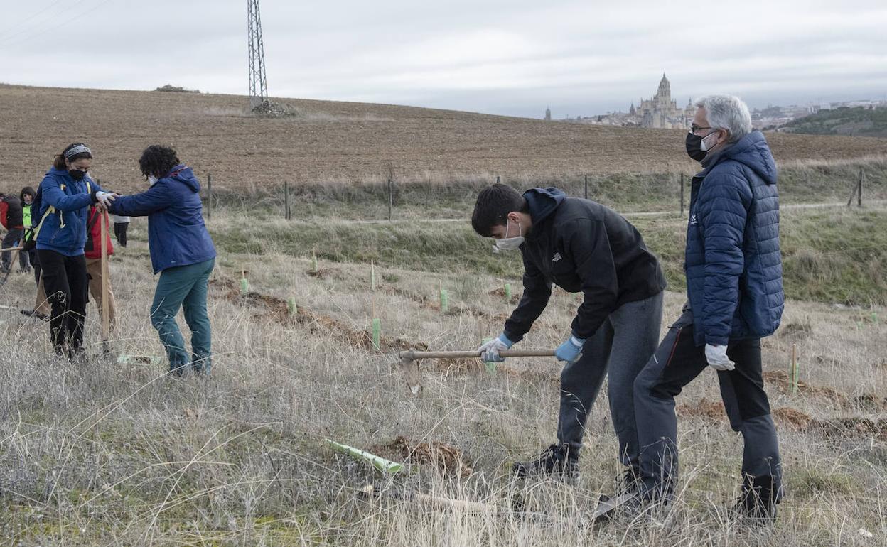 Un momento de la plantación colectiva de este sábado. 