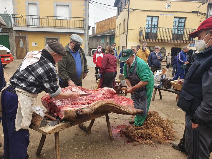 Los vecinos de El Maíllo celebraron la tradicional fiesta popular de la matanza