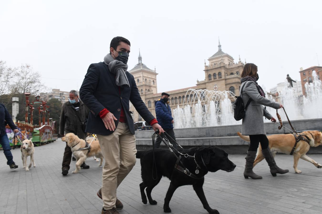 Fotos: Marcha en Valladolid para visibilizar la labor de los perros guía de la ONCE