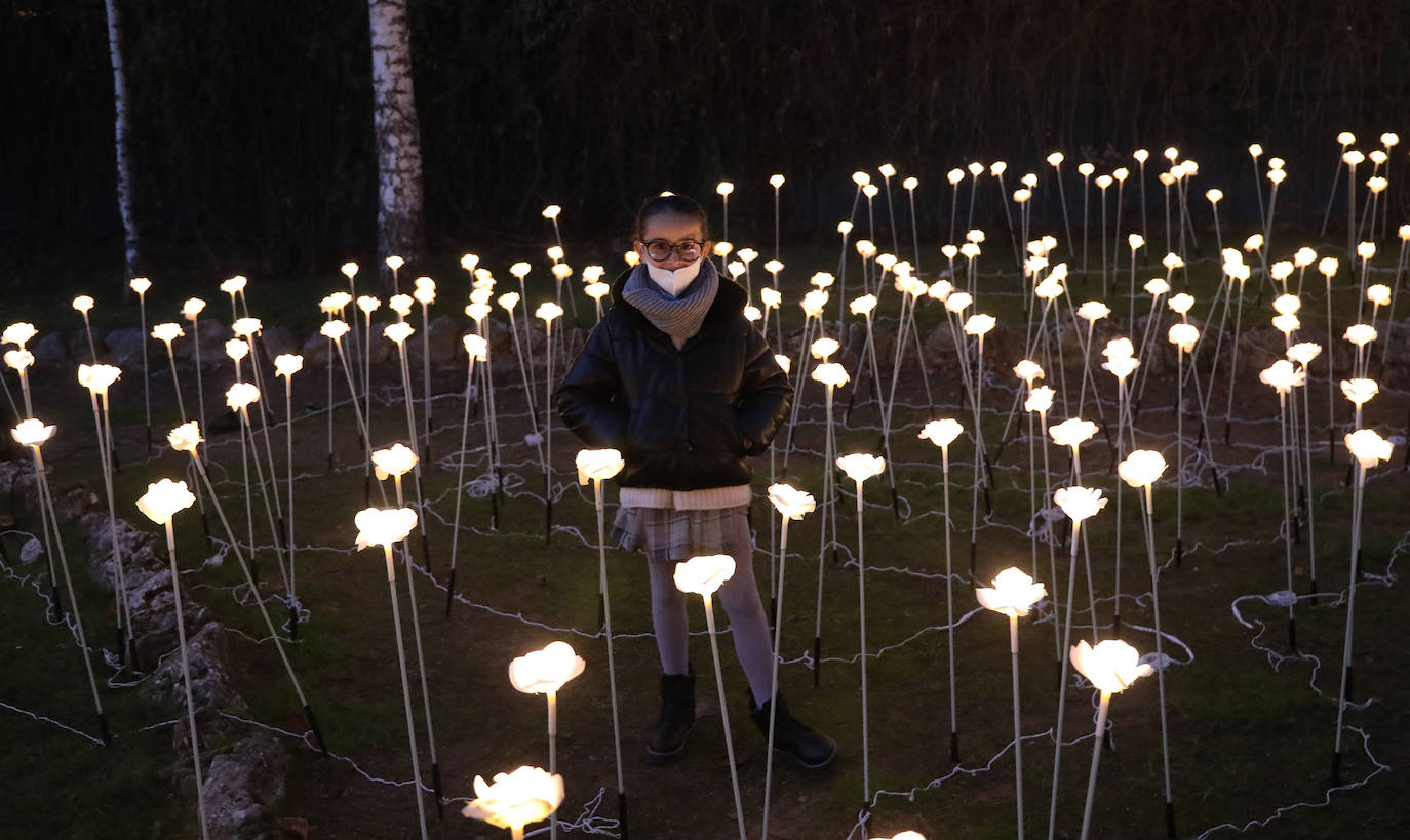 Los sueños se apoderan de la capital palentina. 
