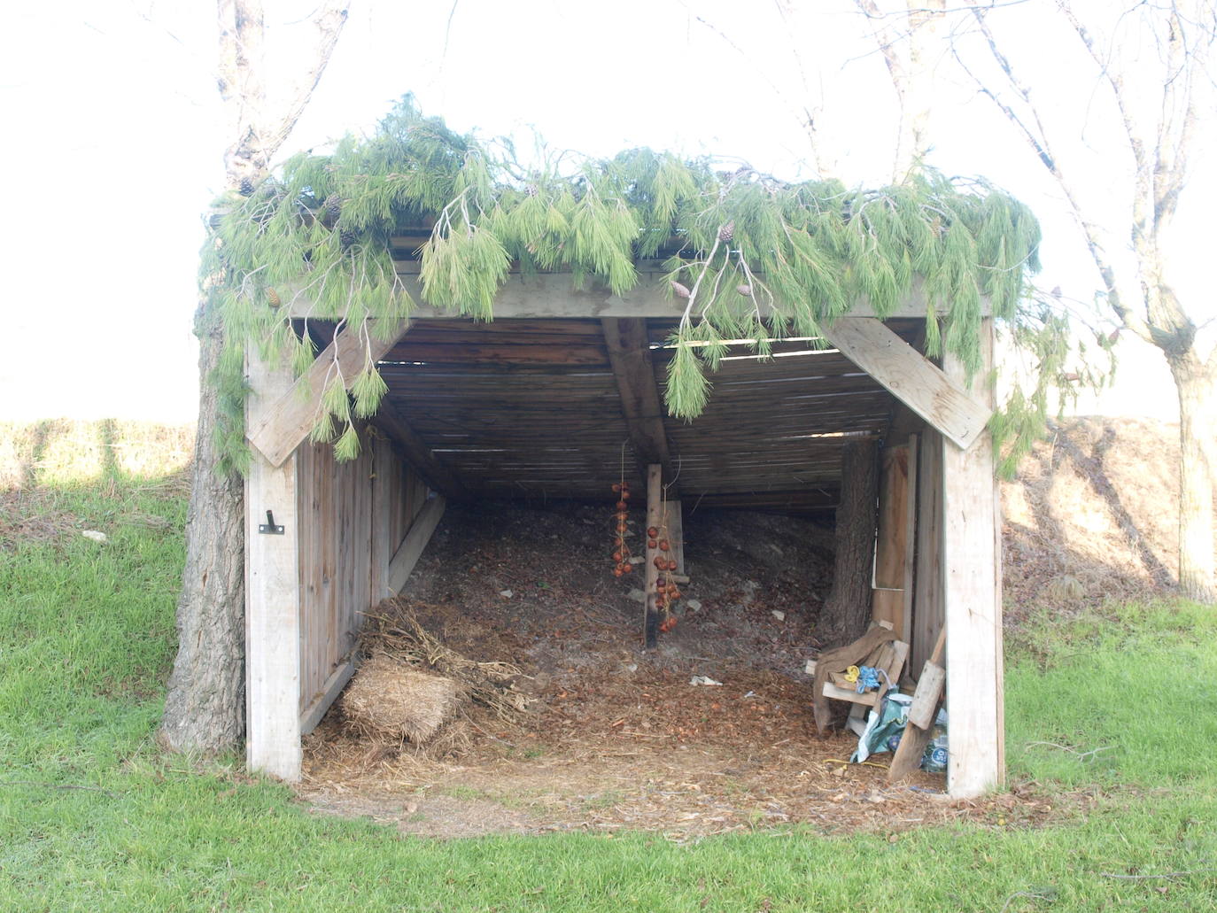 Fotos: El no belén viviente de Robladillo, en Valladolid