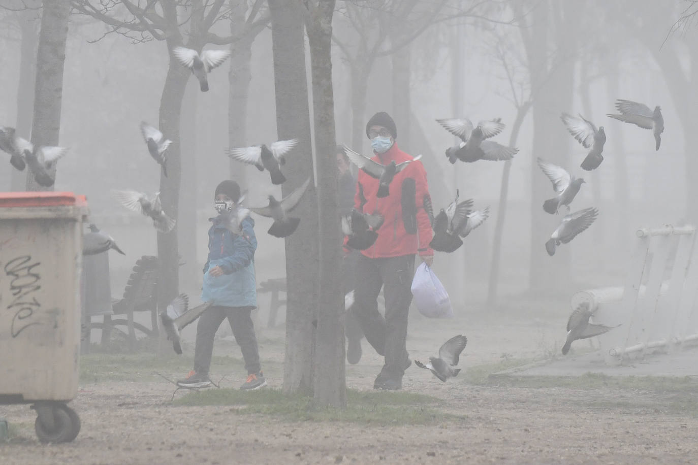 Fotos: La ciudad de Valladolid despede el año con niebla