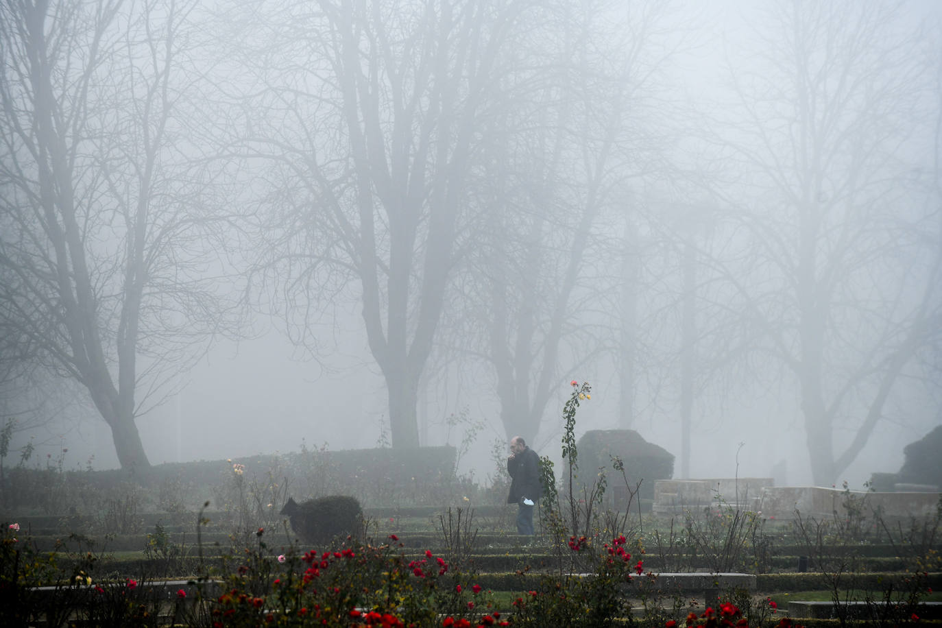 Fotos: La ciudad de Valladolid despede el año con niebla