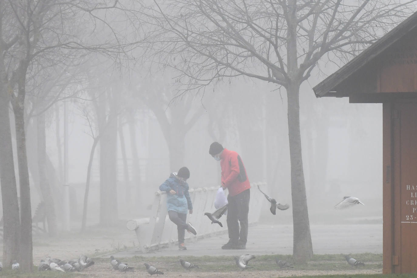 Fotos: La ciudad de Valladolid despede el año con niebla