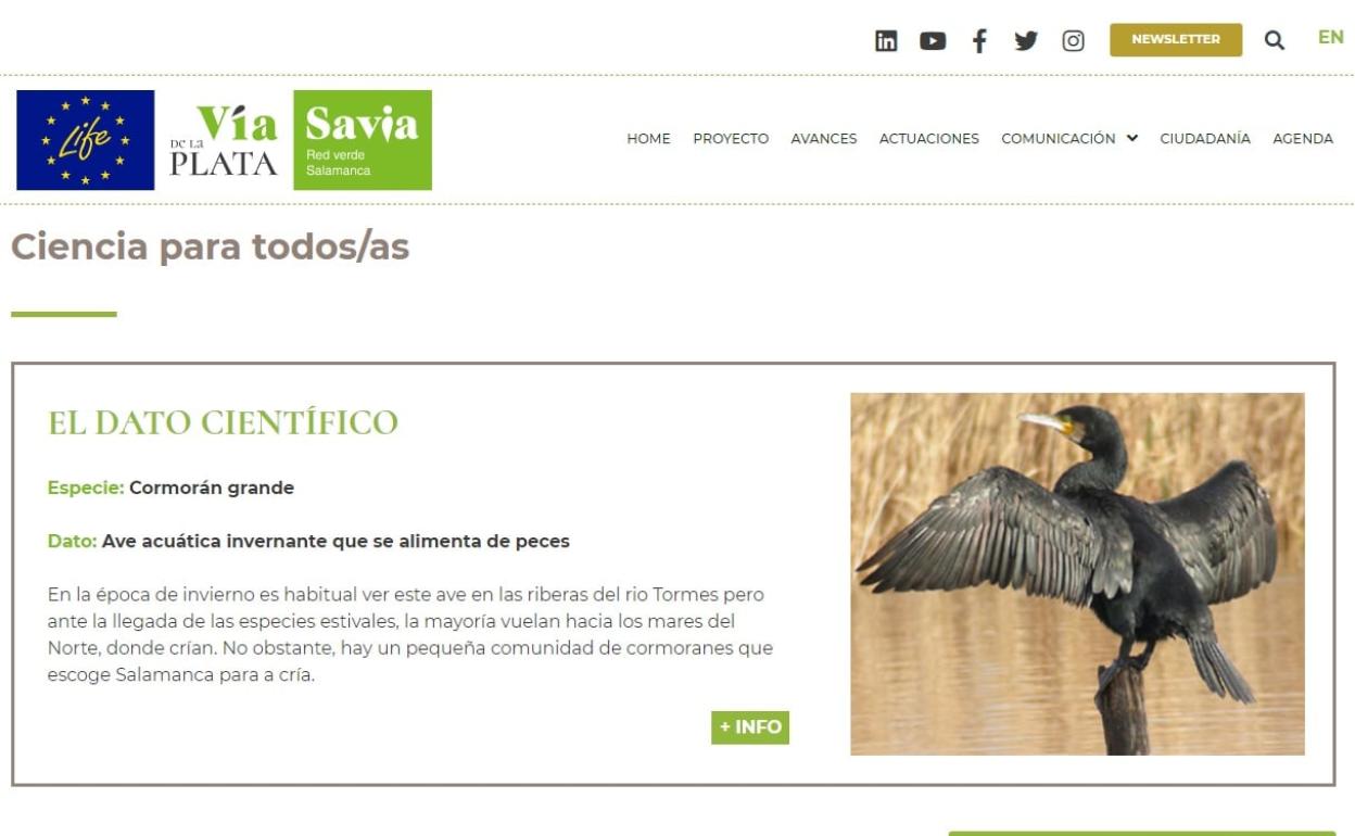 Pantallazo del nuevo espacio de la web. 