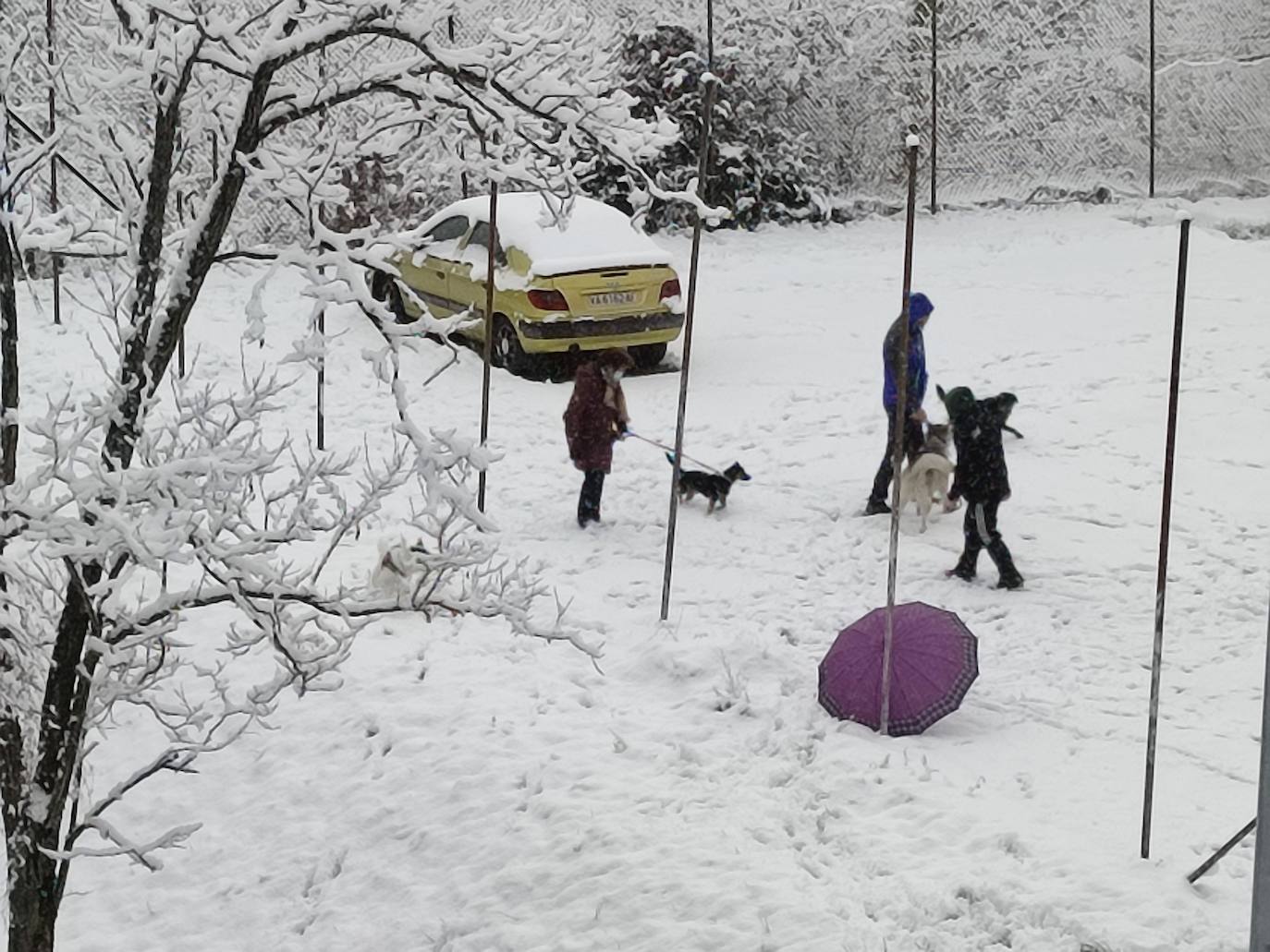 Fotos: Nevada en Guardo