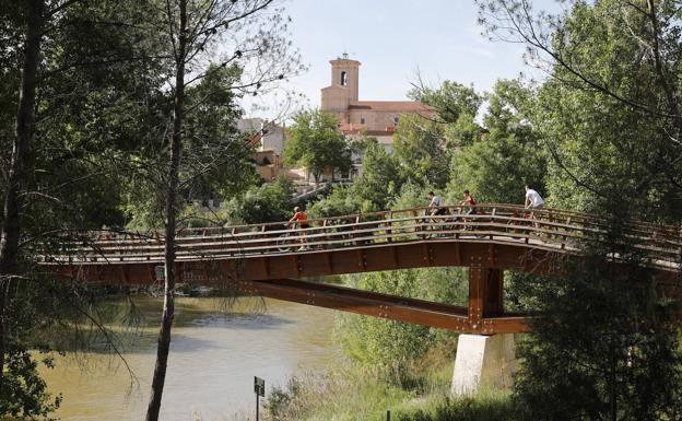 Pasarela de la Senda del Duero en Pesquera de Duero. 