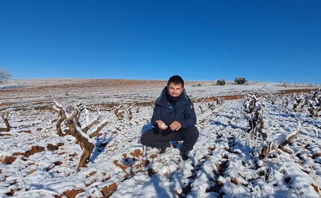 Nacho Rincón muestra la nieve caída en uno de sus viñedos en los últimos días. 