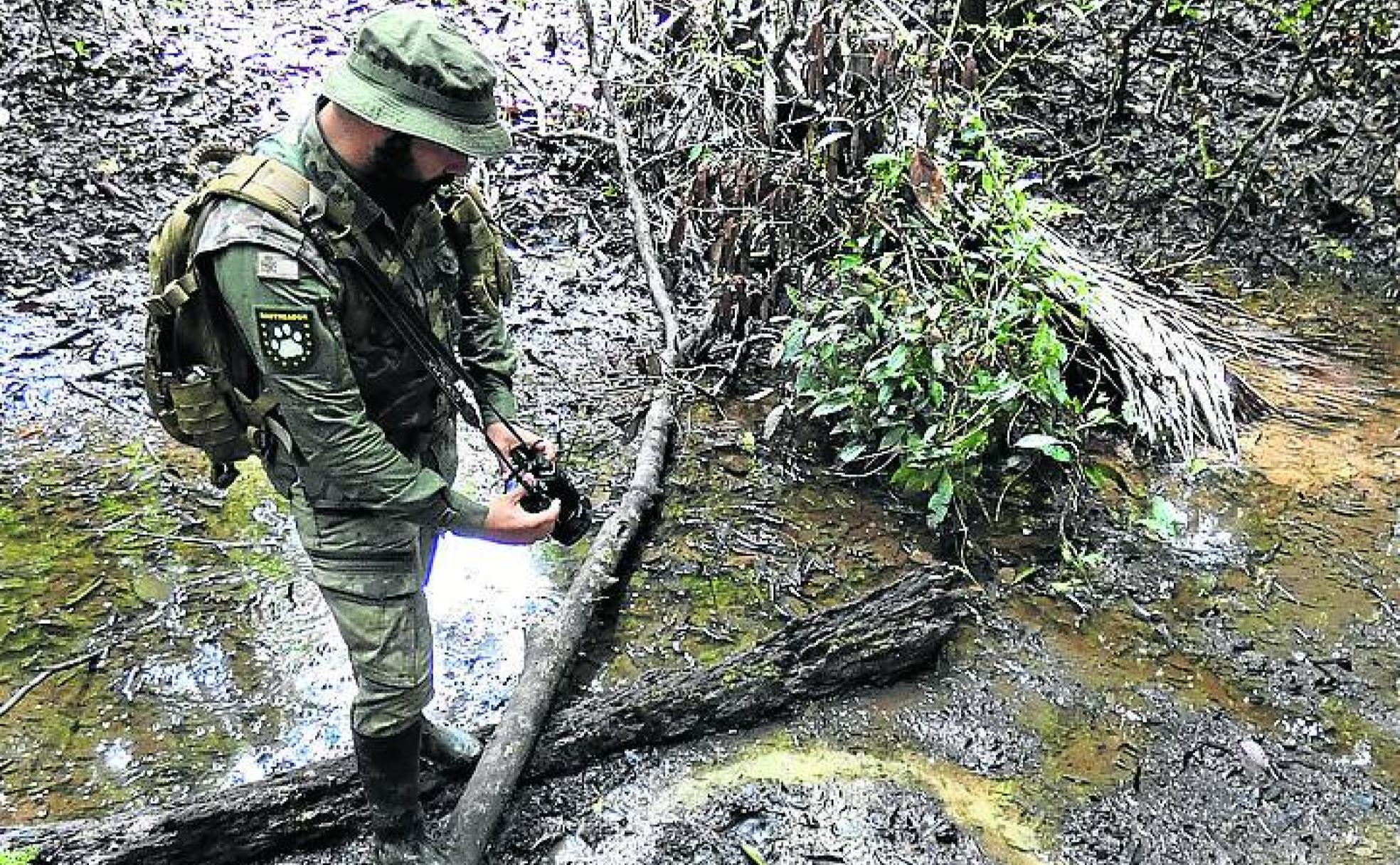 Fernando Gómez sigue el rastrro dejado por una anaconda en su expedición al Amazonas. 