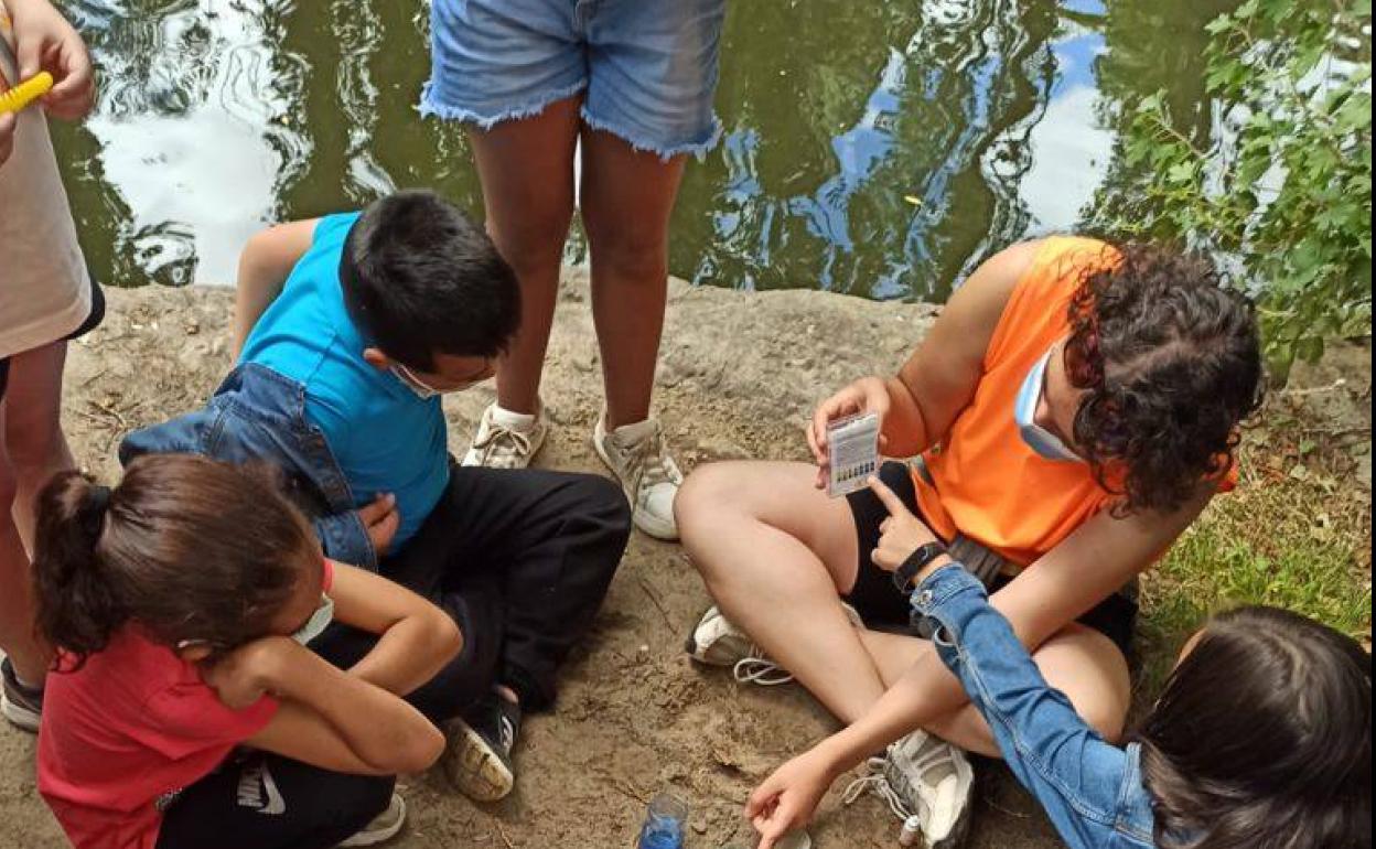 Grupo de niños participan en una de las actividades de la Concejalía de Juventud. 