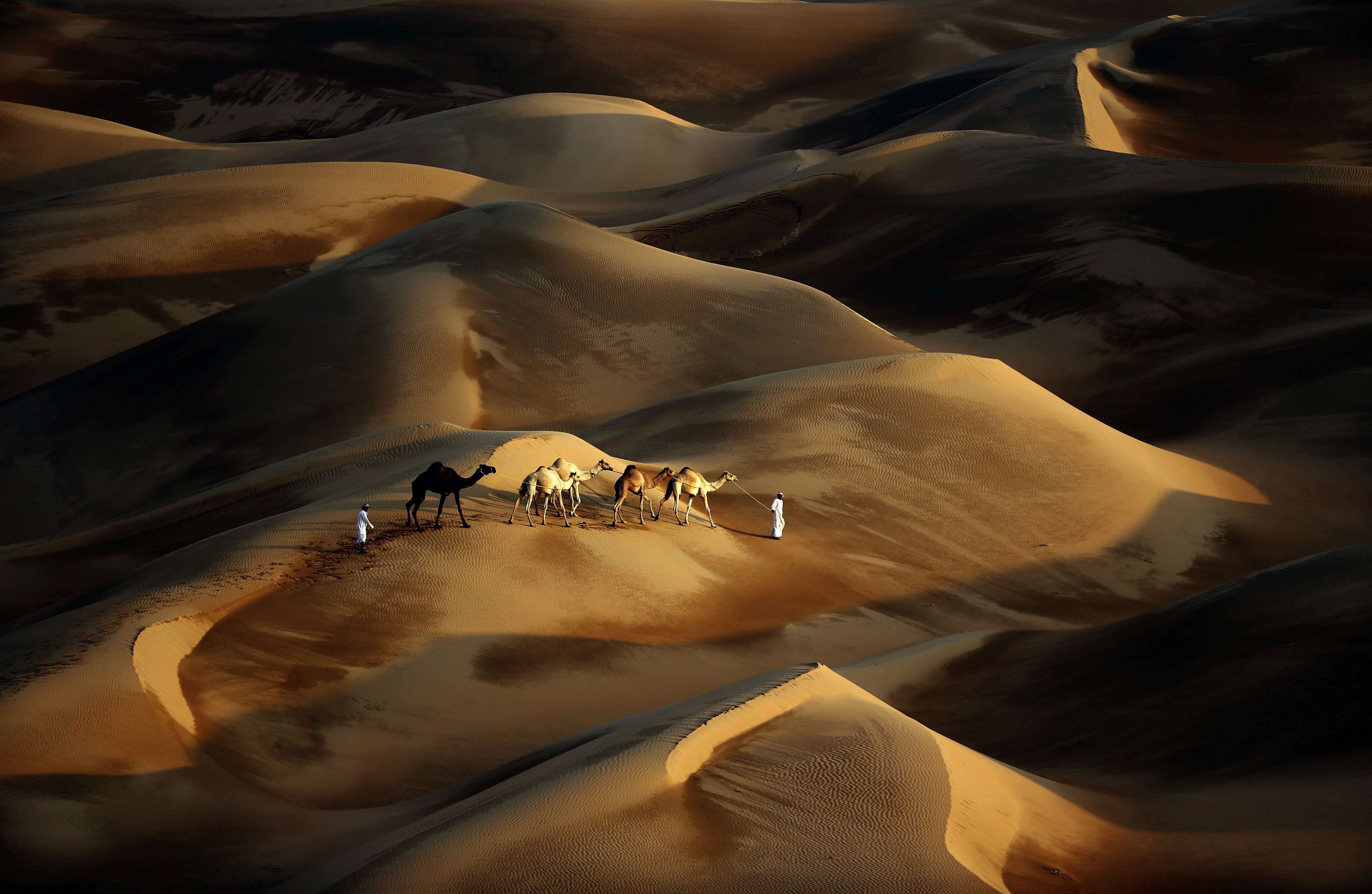 Dunas del desierto de Liwa. 