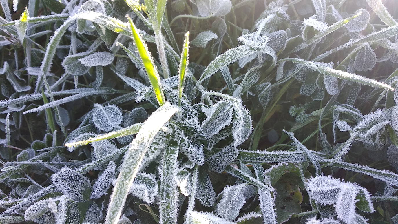 Todas las provincias de Castilla y León, en riesgo por bajas temperaturas