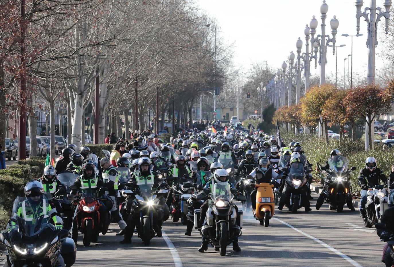 Fotos: Marcha de Pingüinos por Valladolid, entre Vallsur y La Rubia (2/2)