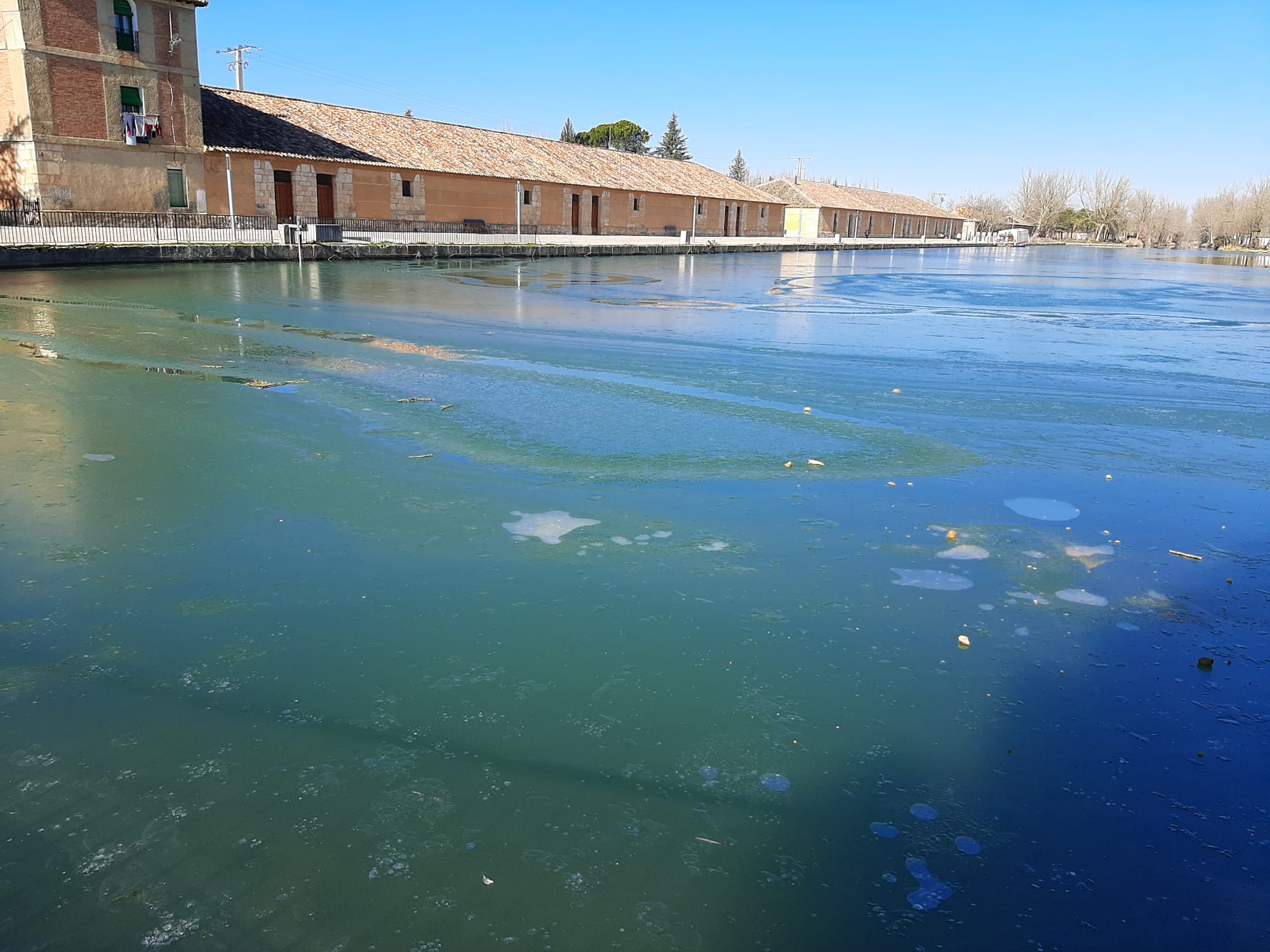 Fotos: La dársena del Canal de Castilla de Rioseco se hiela por primera vez en este invierno