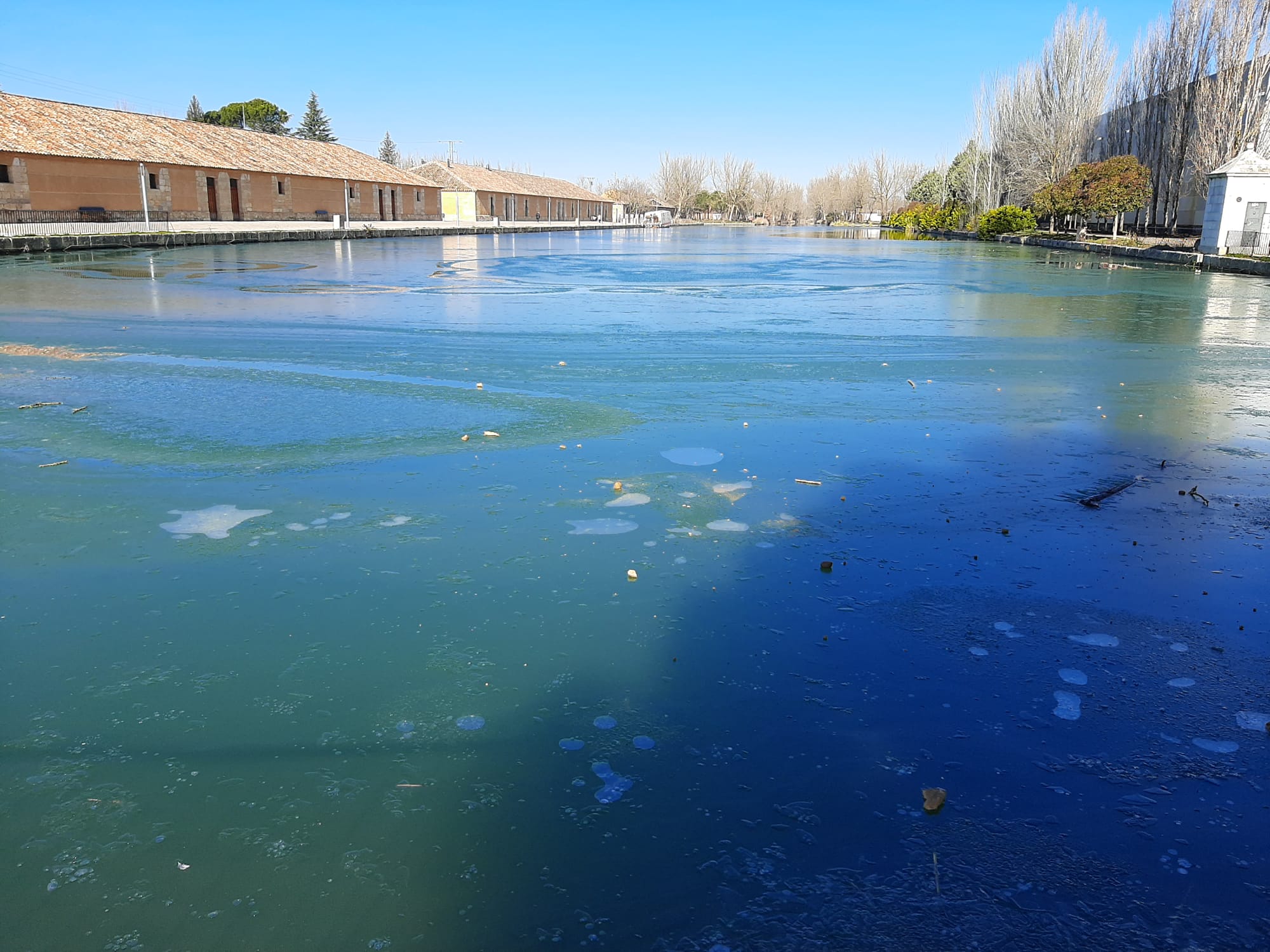 Fotos: La dársena del Canal de Castilla de Rioseco se hiela por primera vez en este invierno