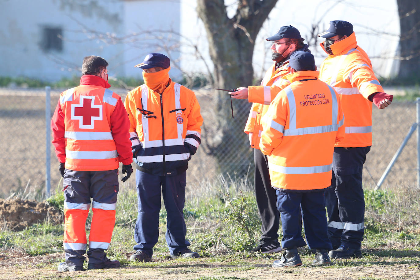 Fotos: Campeonato Nacional de Galgos en Medina del Campo