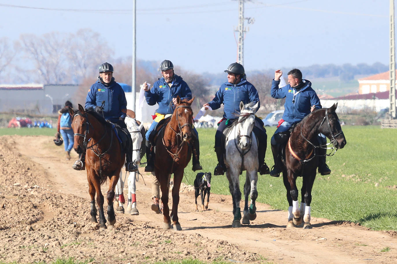 Fotos: Campeonato Nacional de Galgos en Medina del Campo