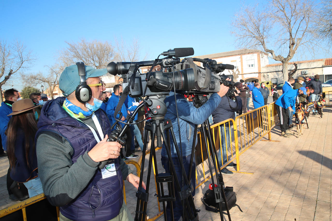 Fotos: Campeonato Nacional de Galgos en Medina del Campo