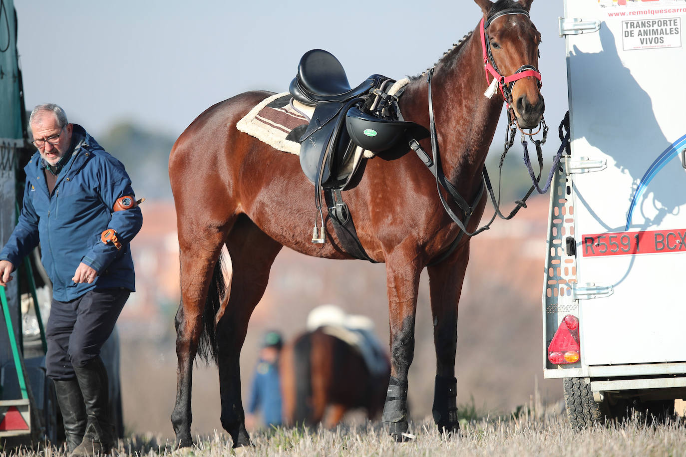 Fotos: Campeonato Nacional de Galgos en Medina del Campo