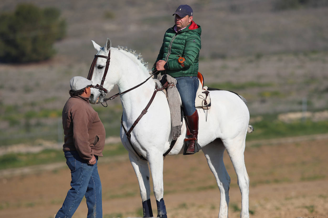 Fotos: Campeonato Nacional de Galgos en Medina del Campo